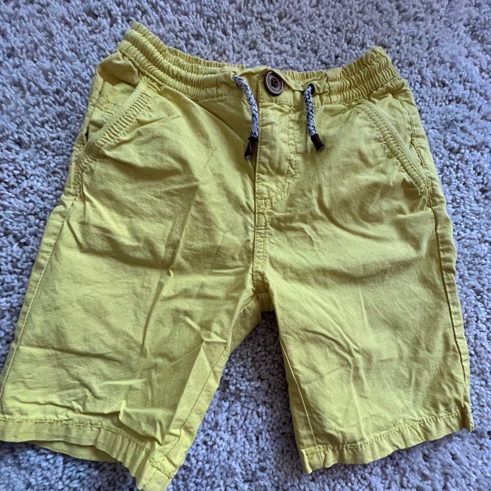 Zara Shorts